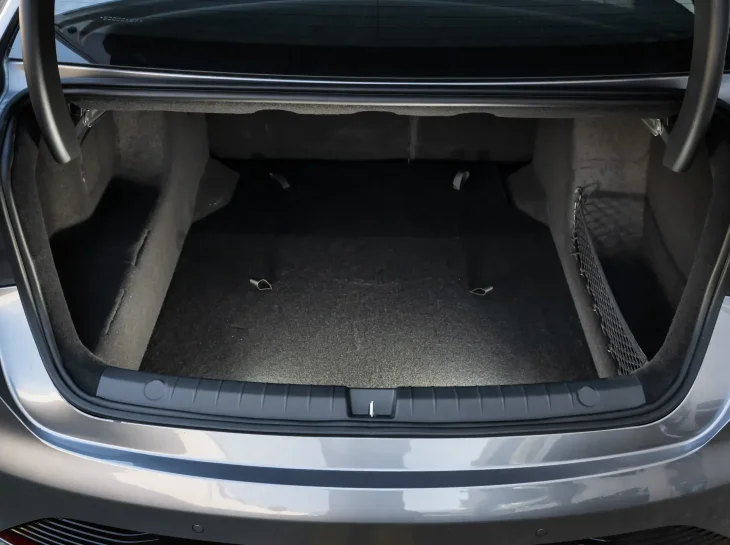 Byd King Ext (18)