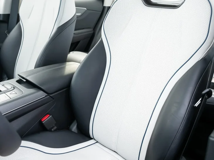 Byd King Int (14)