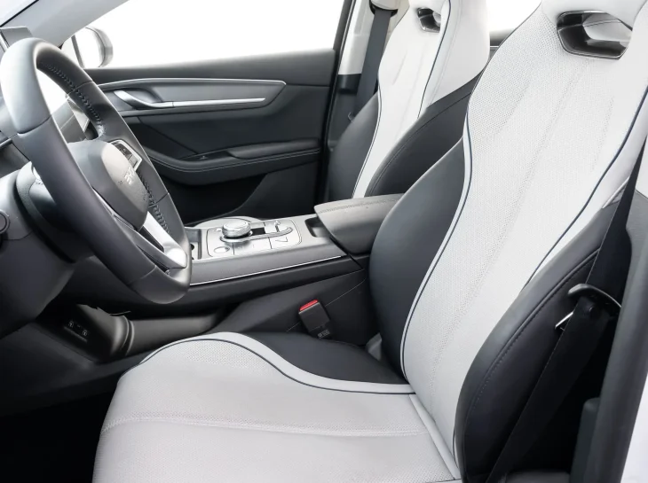 Byd King Int (16)