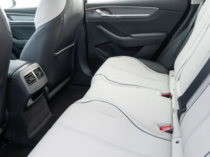 Byd King Int (17)