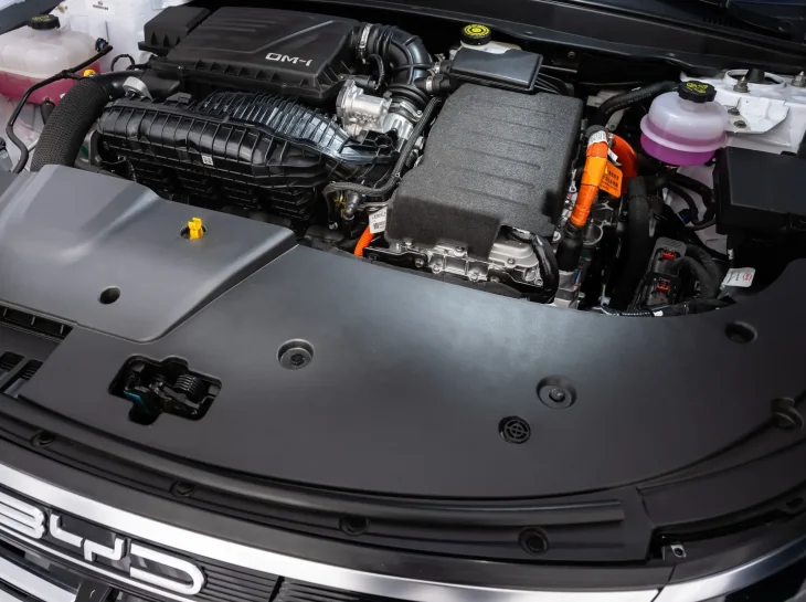 Byd King Int (2)