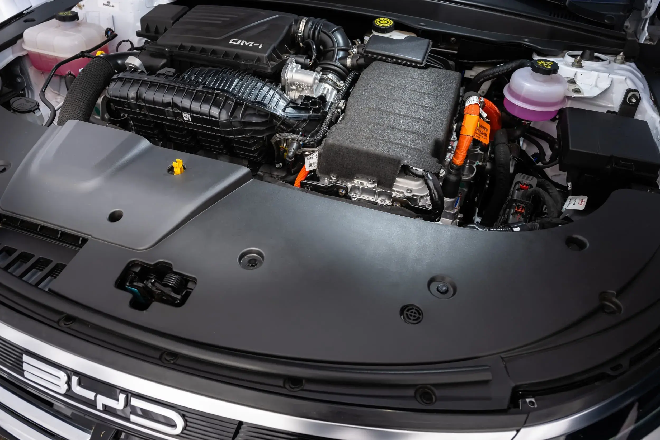 Byd King Int (2)