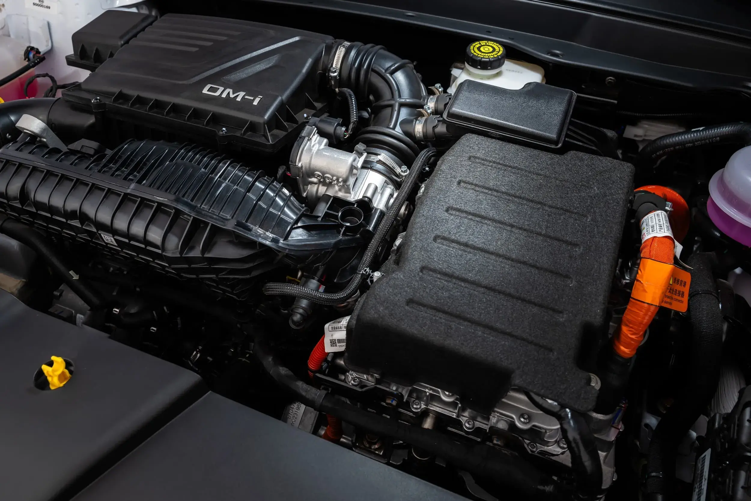 Byd King Int (3)