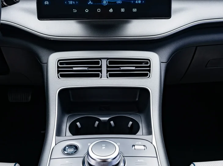 Byd King Int (5)