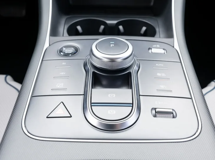 Byd King Int (6)