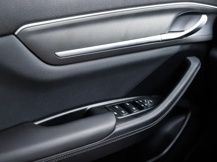 Byd King Int (8)
