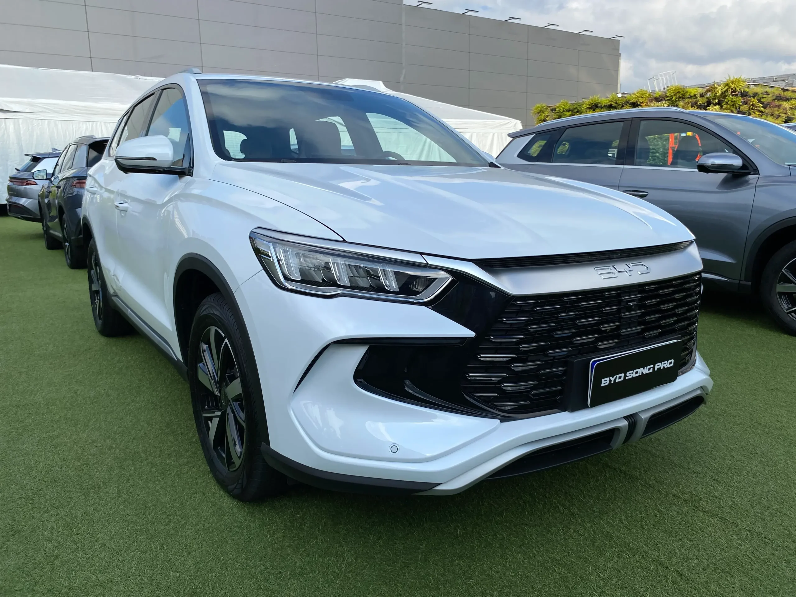 Novo Byd Song Pro (16)