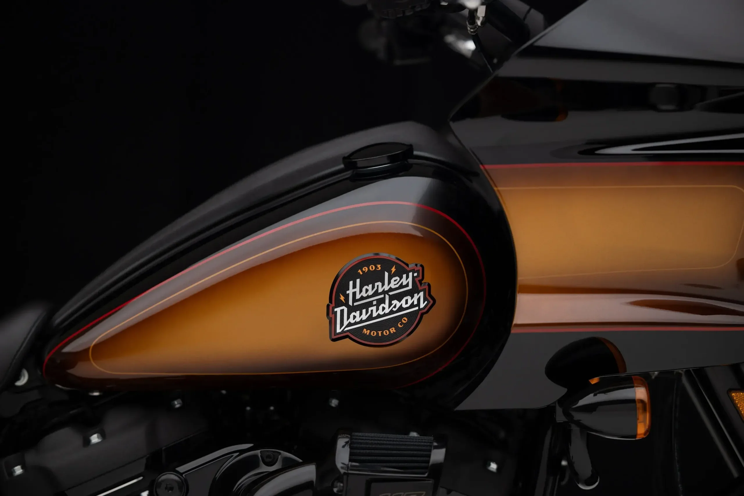 Harley Davidson Low Rider St Tobacco Fade Enthusiast (2)