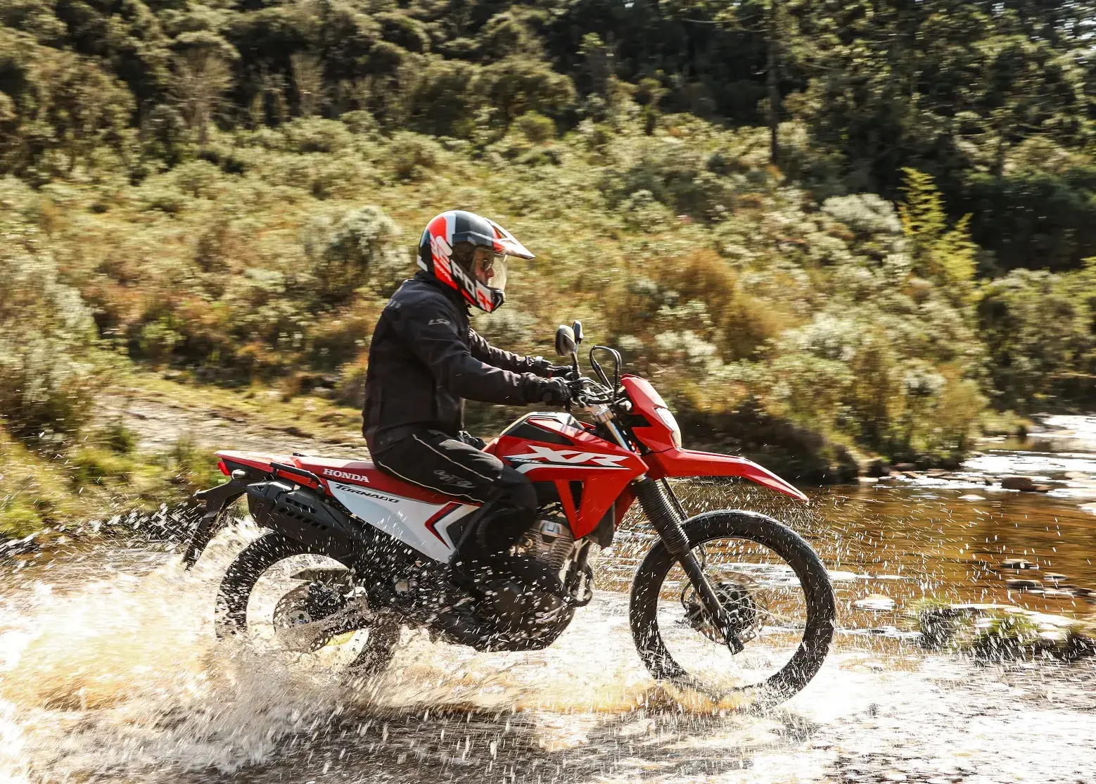 Honda Xre 300l Tornado (82)