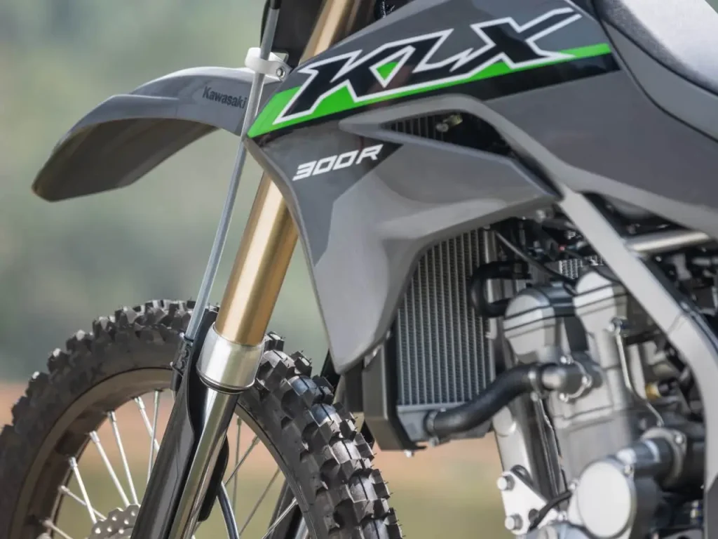 Kawasaki Klx 300r 0