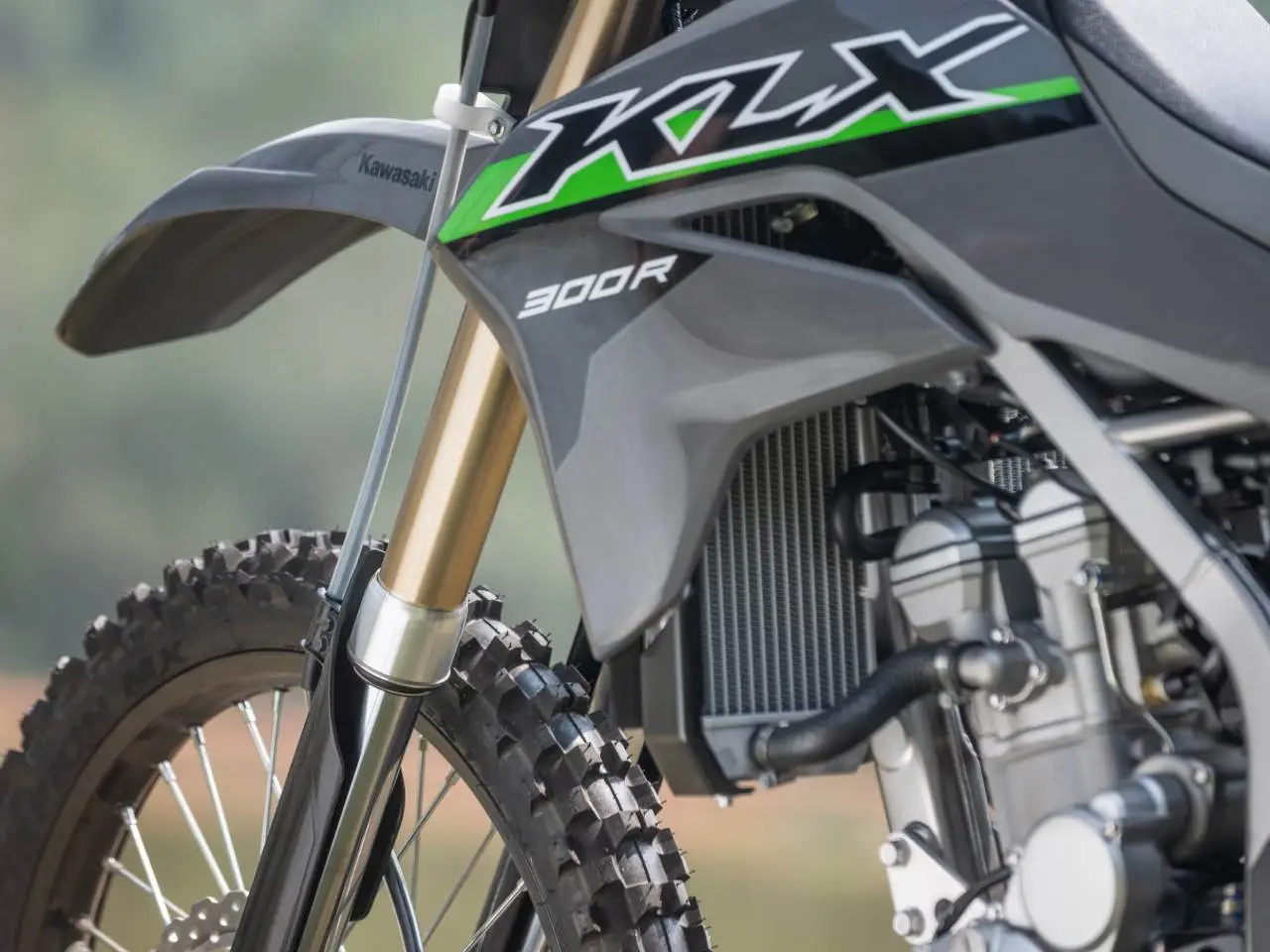 Kawasaki Klx 300r 0