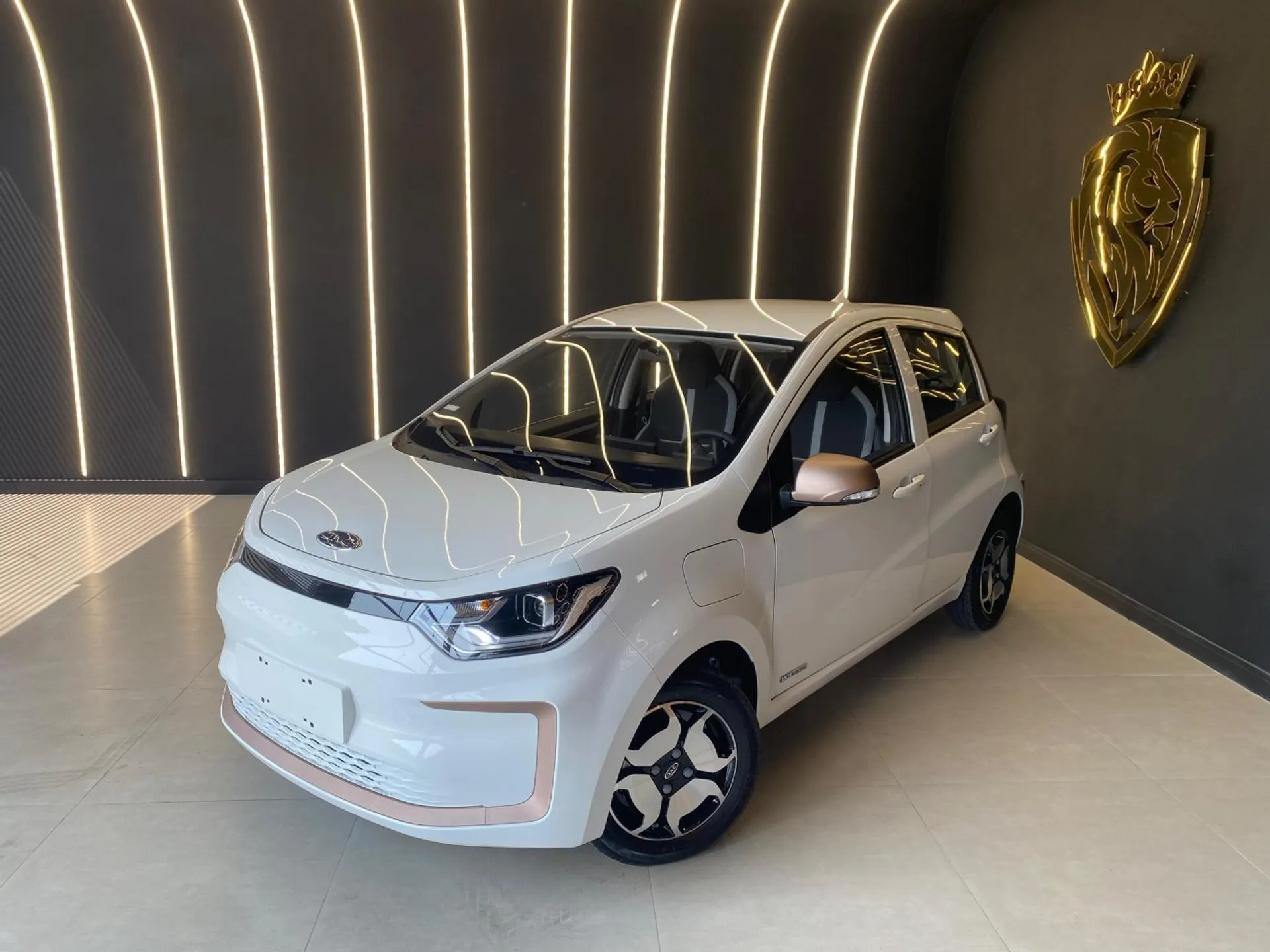 Jac Ejs1 Eletrico Automatico Wmi Reproducao Webmotors