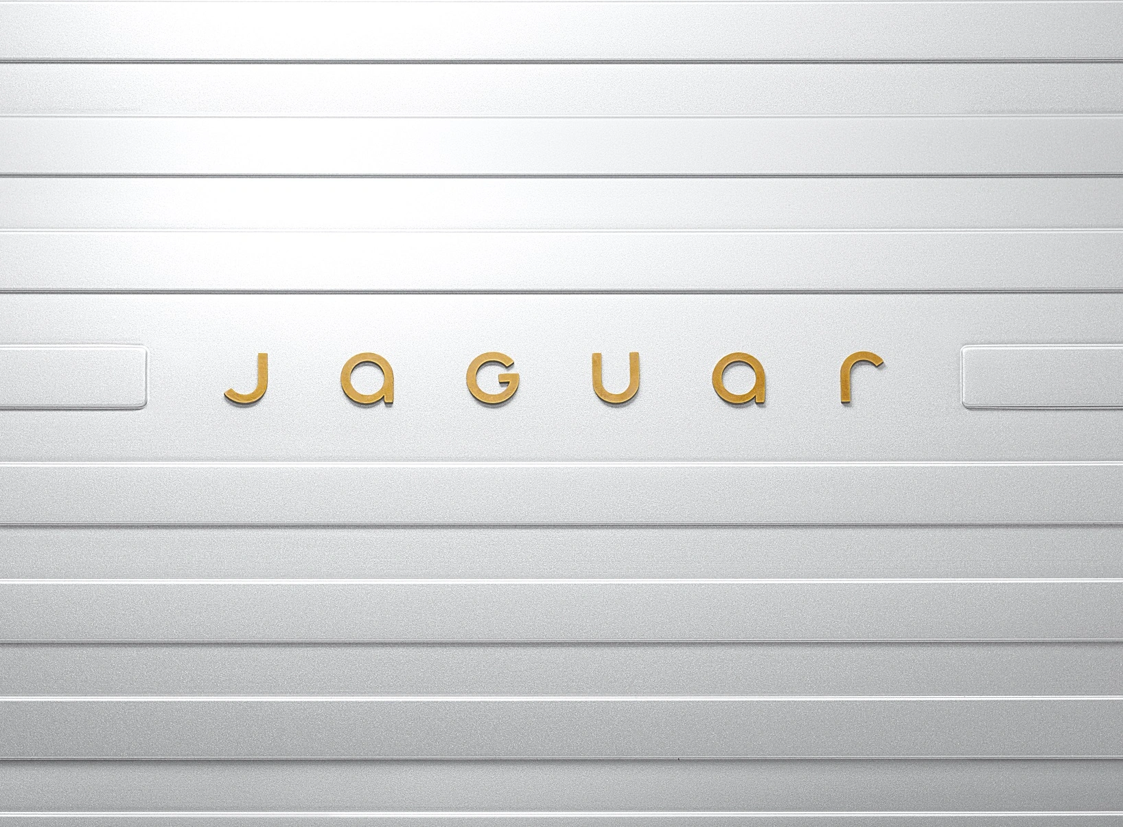 Nova Jaguar 3