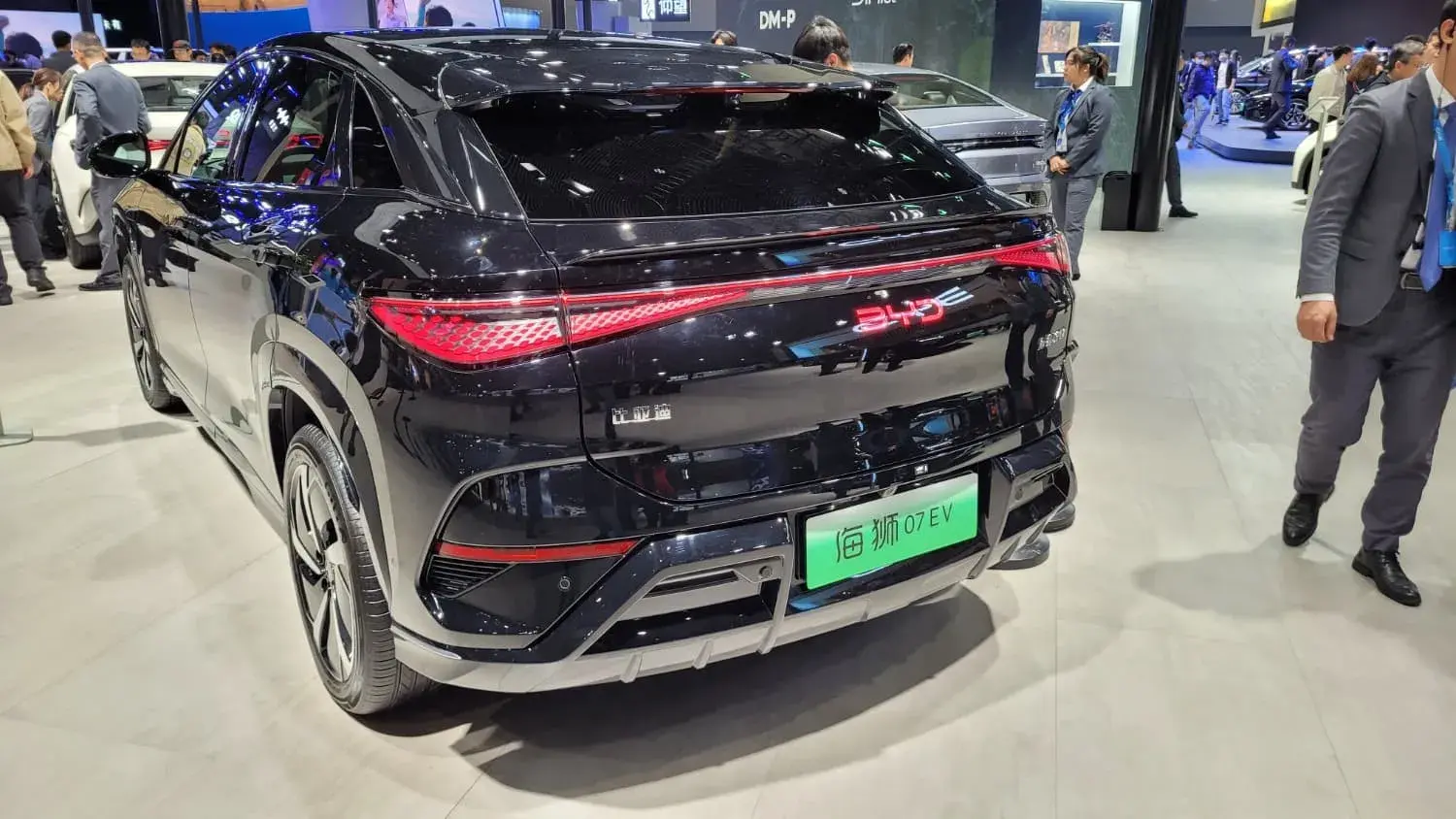 Byd Sea Lion 07 (2)