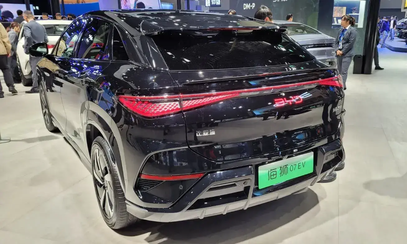 Byd Sea Lion 07 (2)