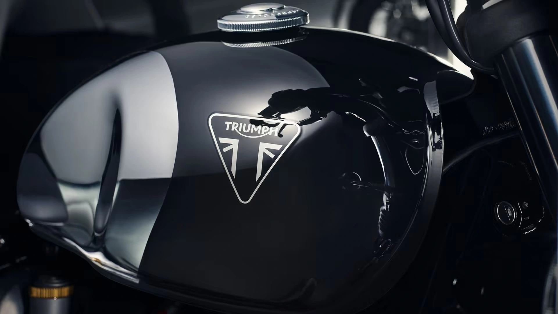 Triumph Logotipo
