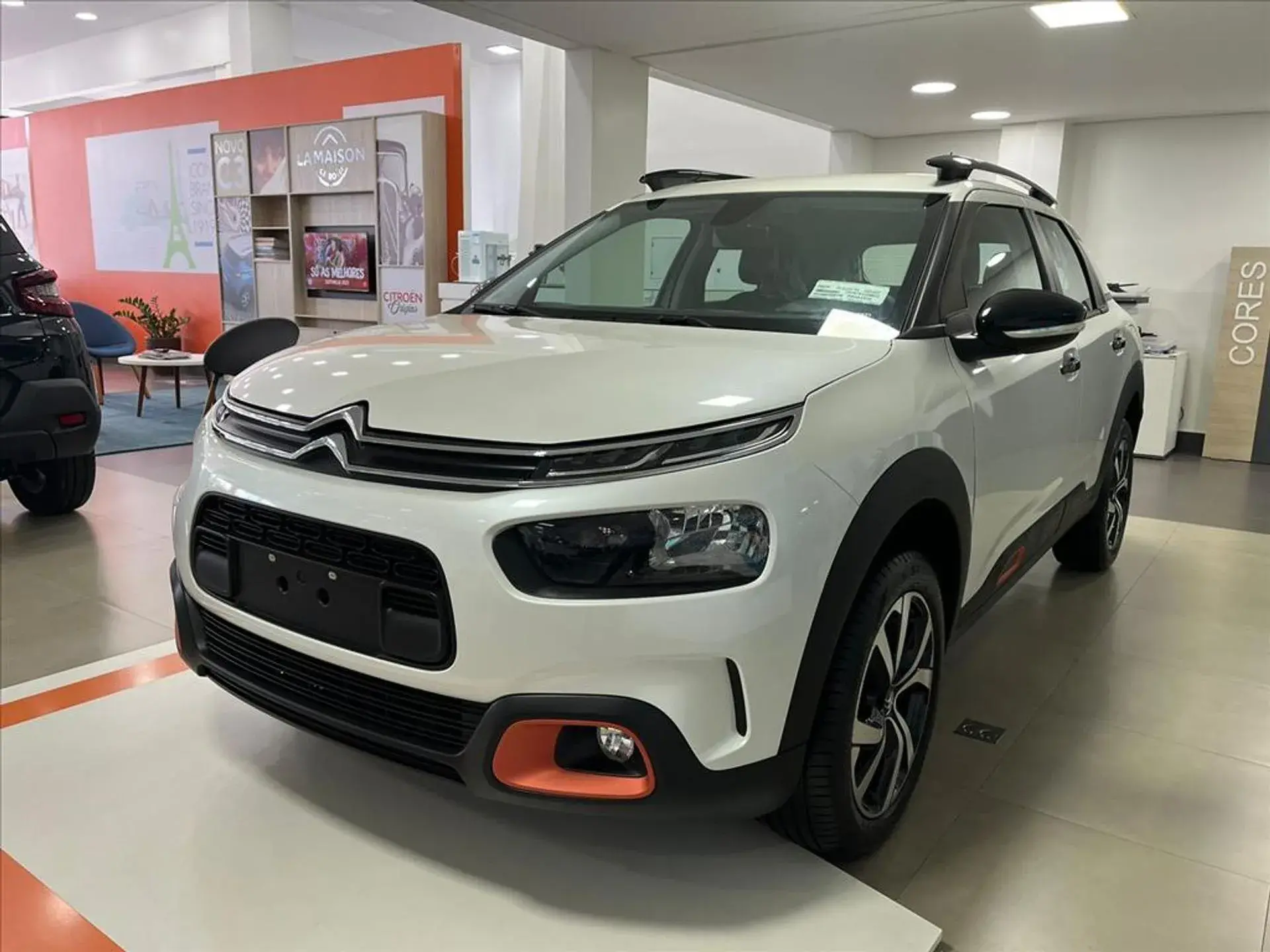C4 Cactus