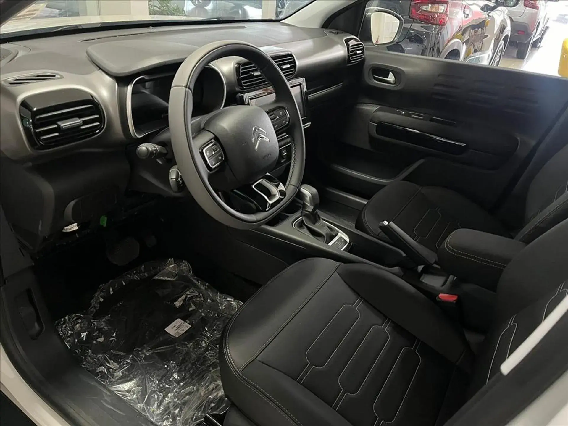 C4 Cactus 02