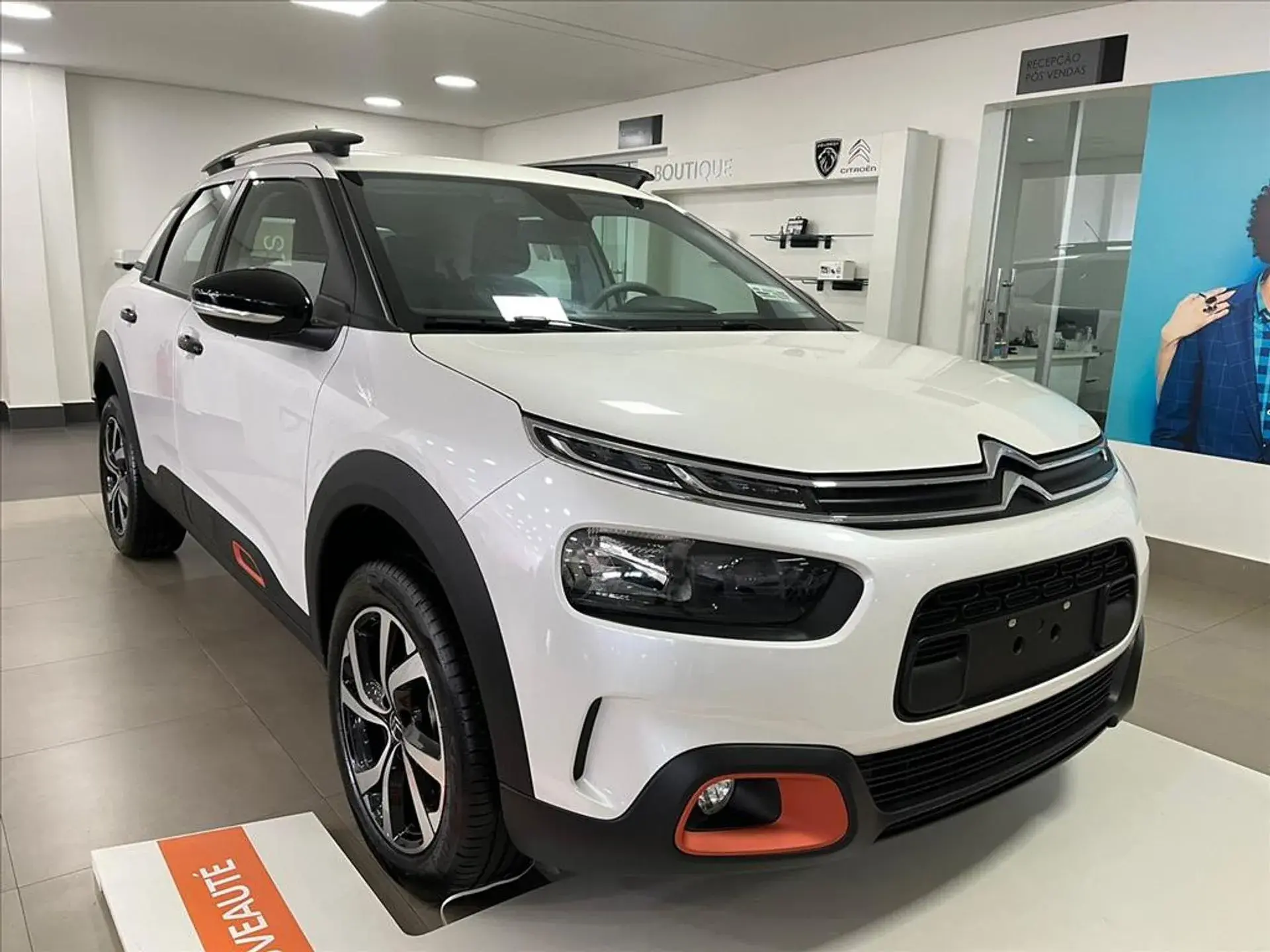 C4 Cactus 03