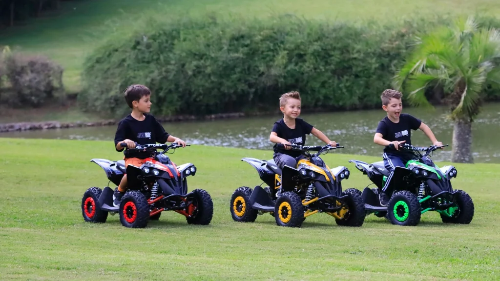 Mxf Motors Thor Electric