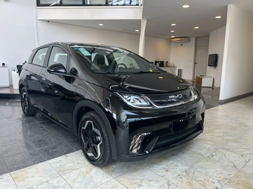 Byd Dolphin (1)