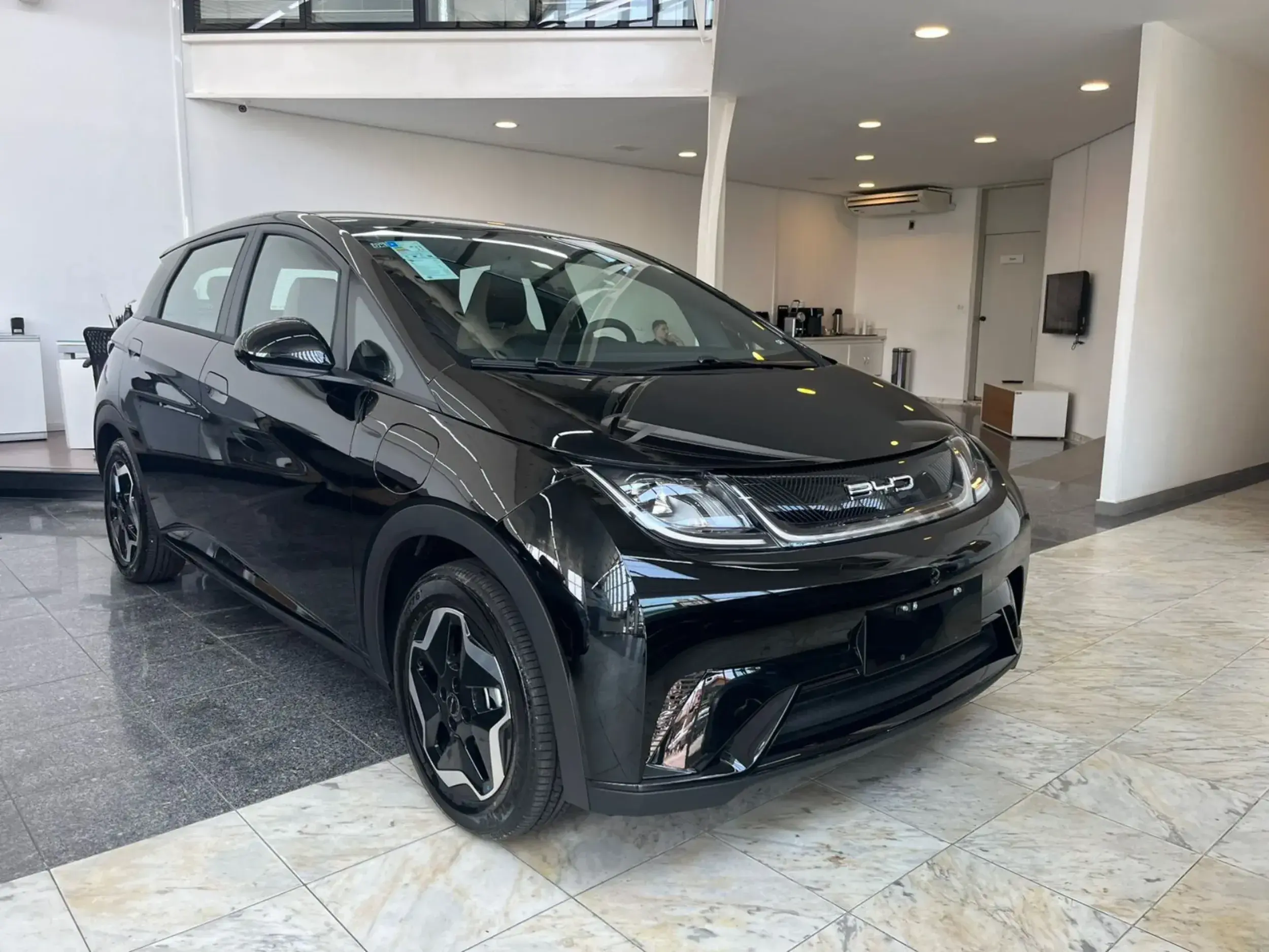 Byd Dolphin (1)
