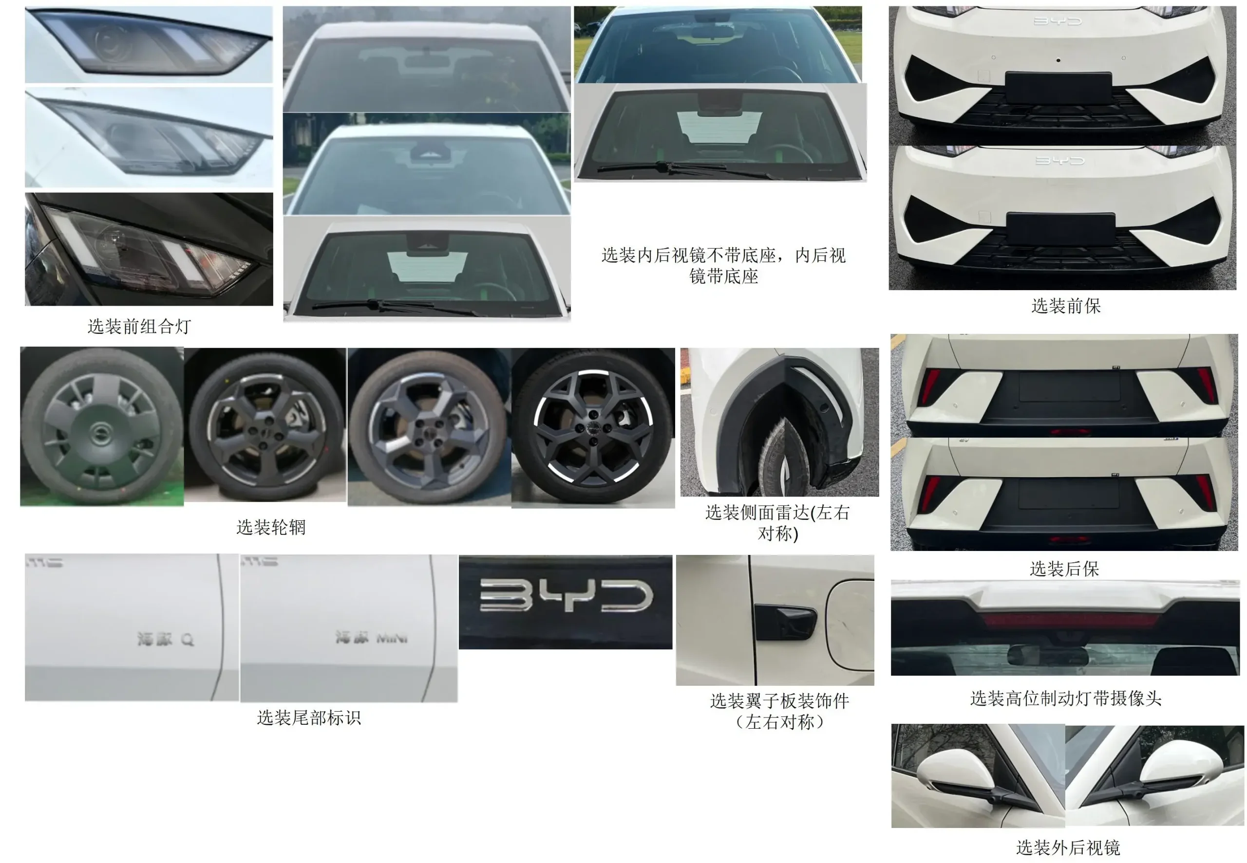 Byd Dolphin Mini China