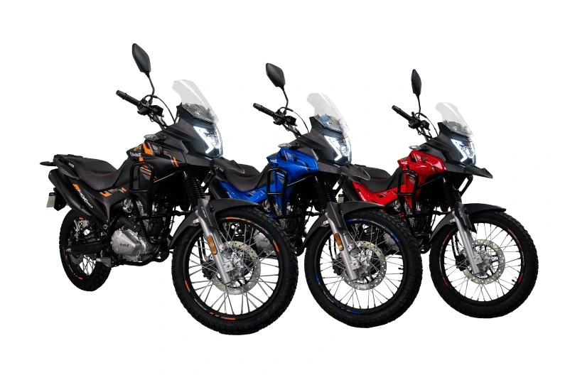 Avelloz Xtreme 1