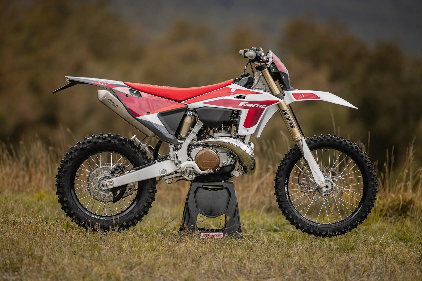 Fantic Xe300 1