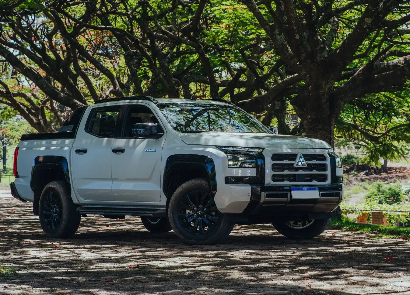 Mitsubishi Triton (2)