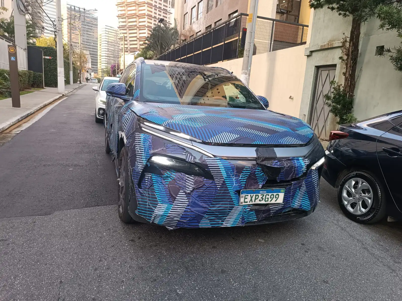 BYD Tan 2026