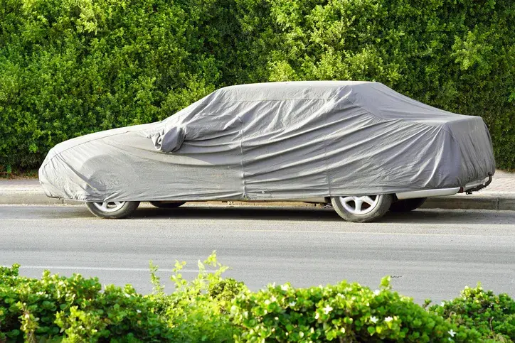 Carro Parado