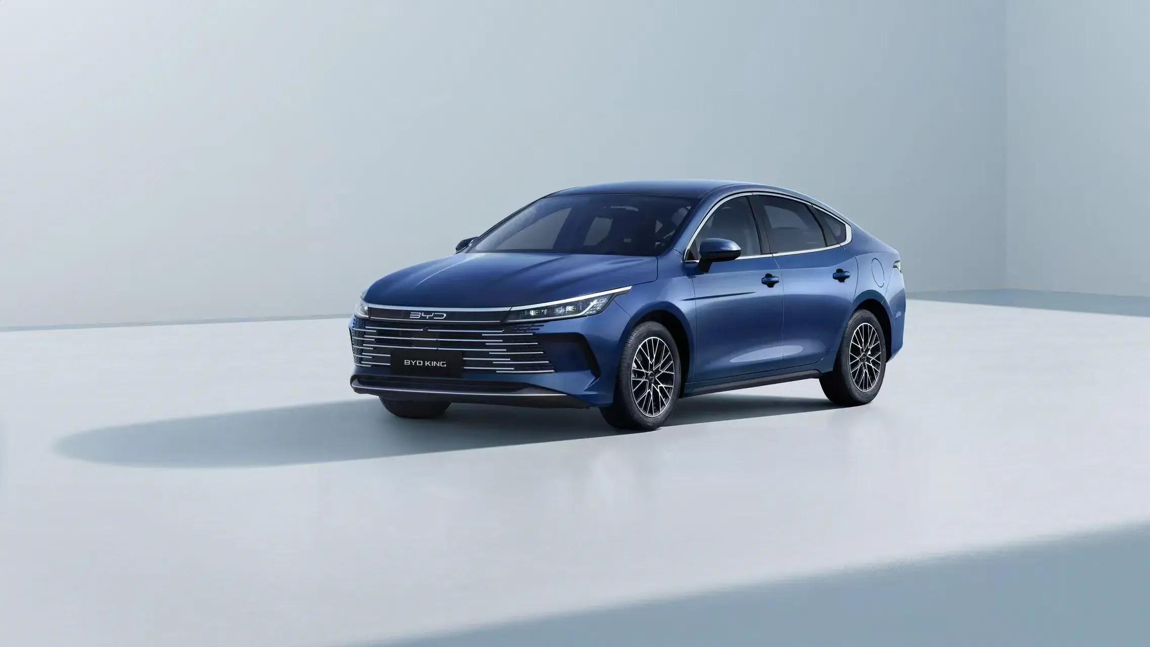Byd King 2026 1