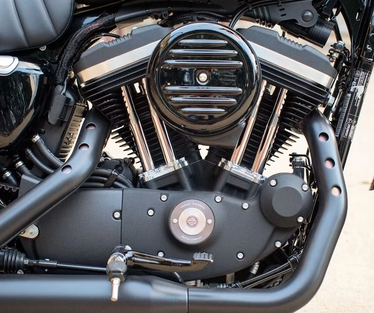 Harley Davidson Sportster 883 Motor 2