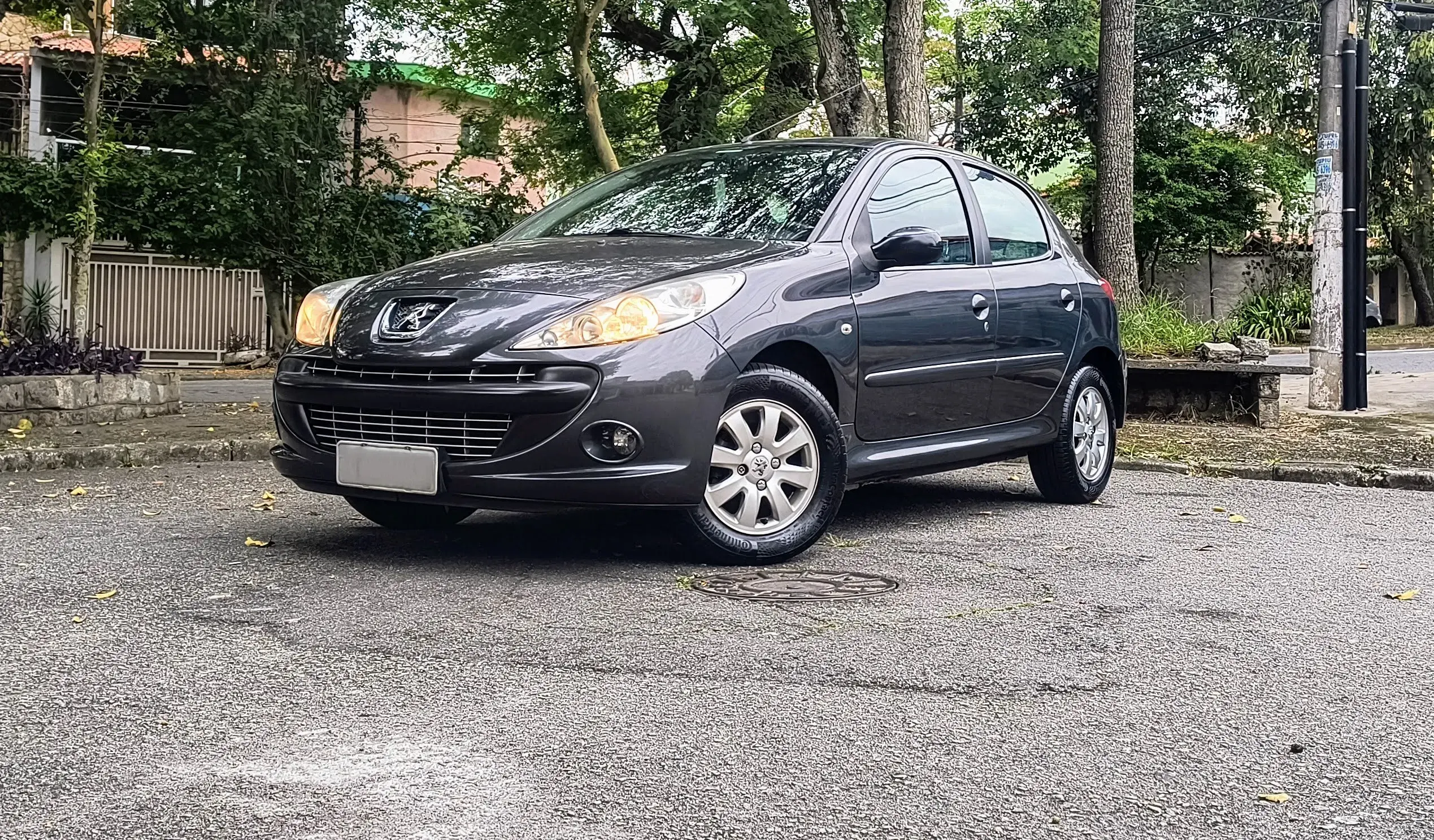 Peugeot 207 Ee (1)