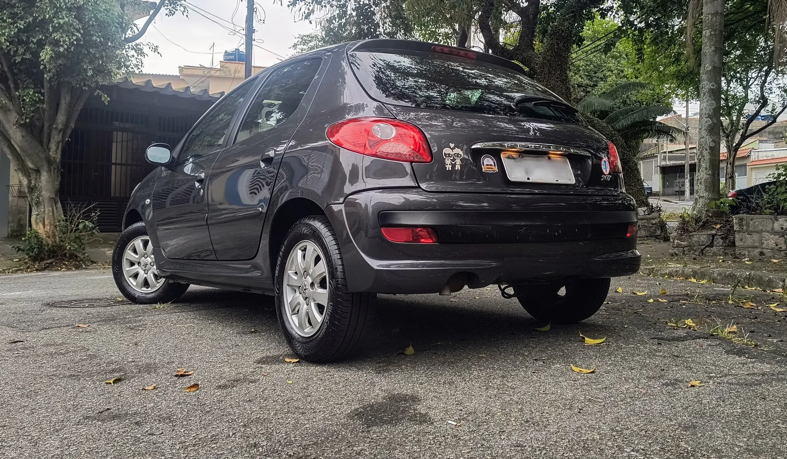 Peugeot 207 Ee (2)