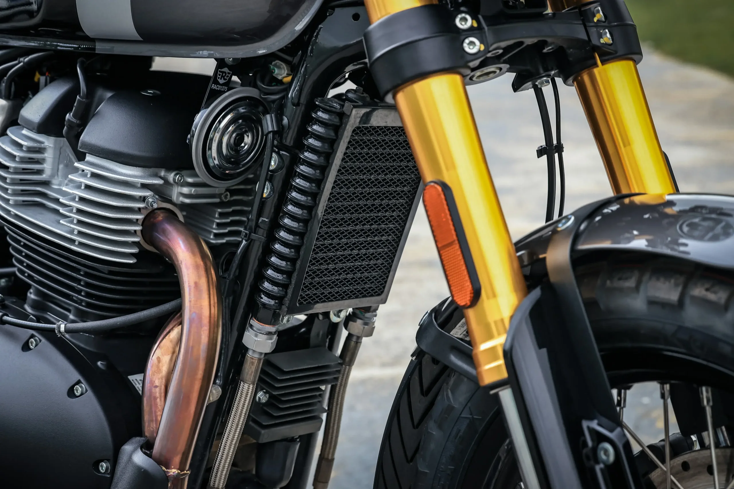 Royal Enfield Bear 650 Detalhes (24)