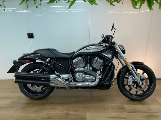 Harley Davidson Street Rod Ate 40 Mil