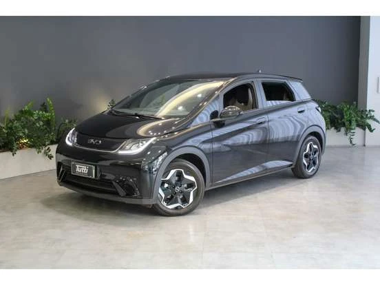 Byd Dolphin Ate 150 Mil