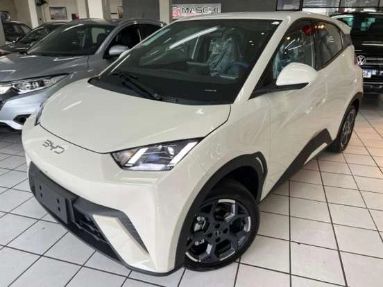 Byd Dolphin Mini Ate 150 Mil Jpg