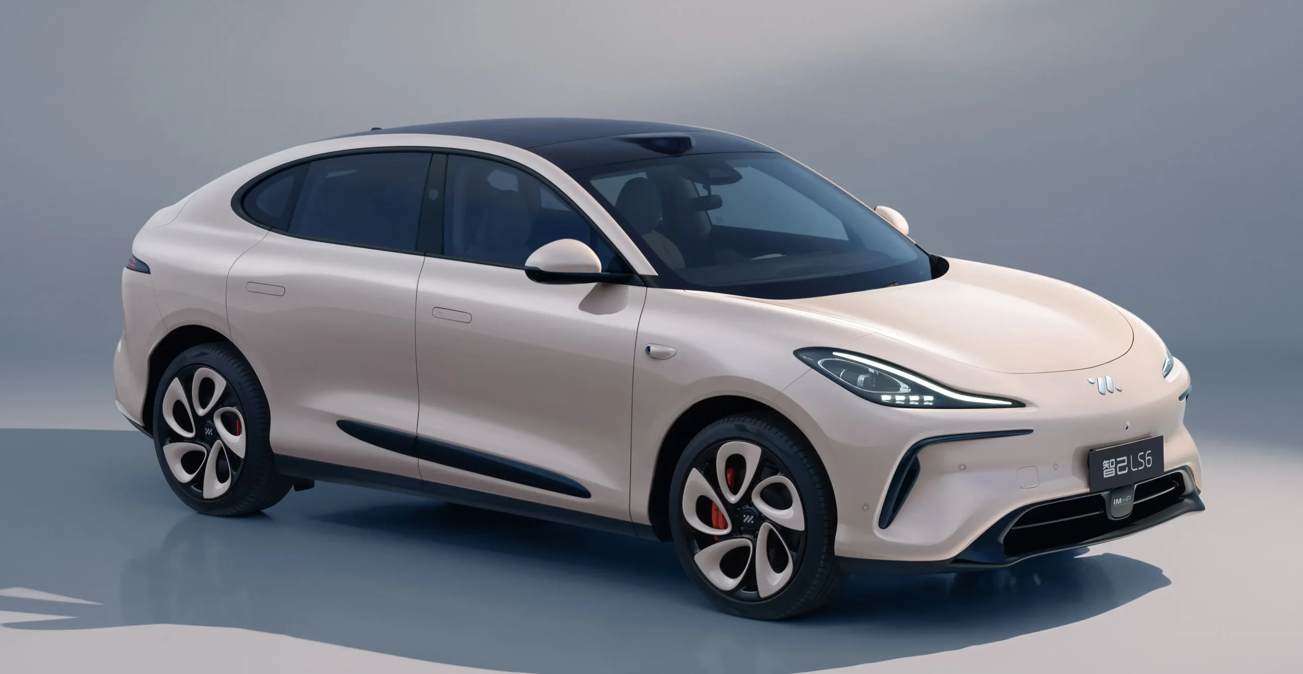 Im Motors Ls6 (1)