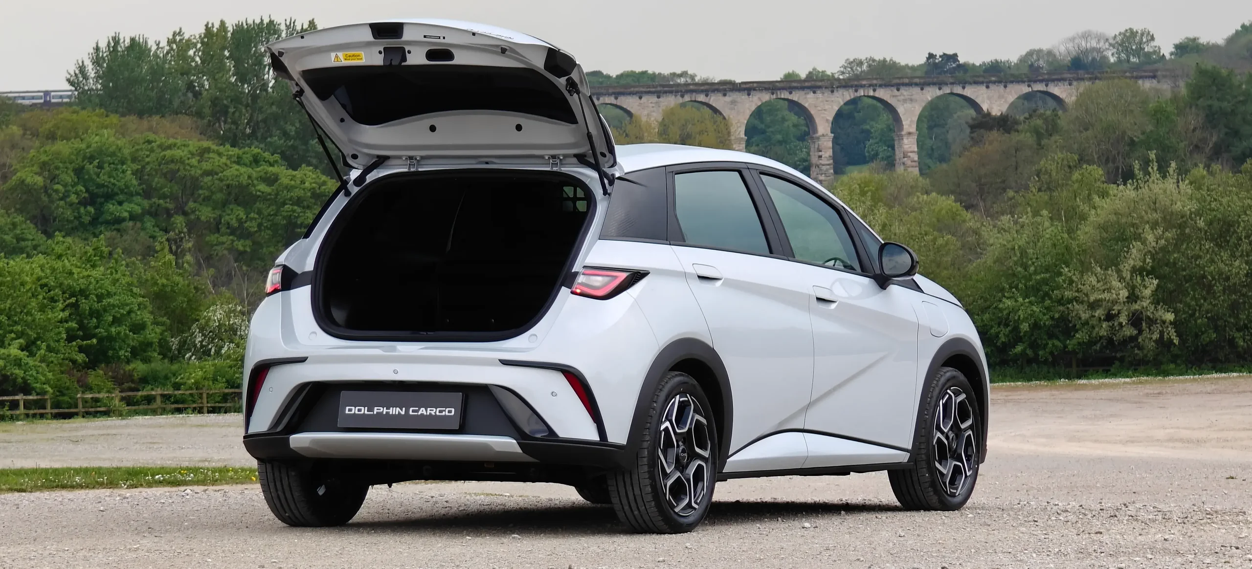 Byd Dolphin Cargo E Van Rear Three Quarter
