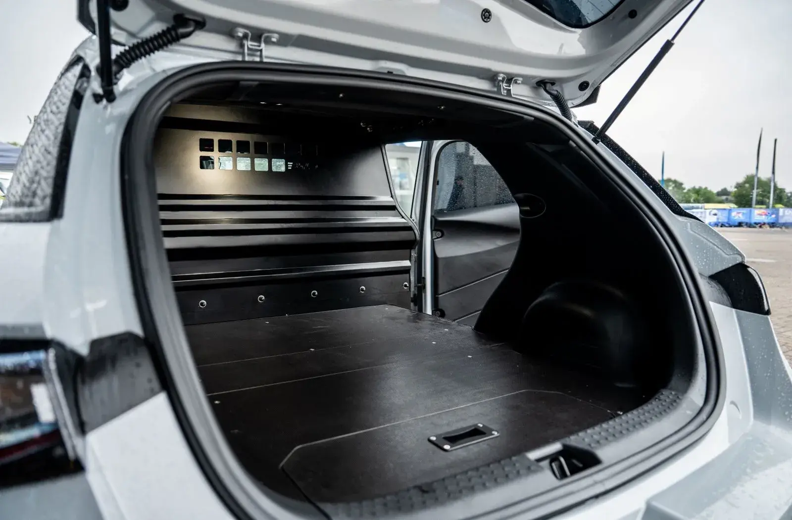 Byd Dolphin Cargo E Van Load Area (1)