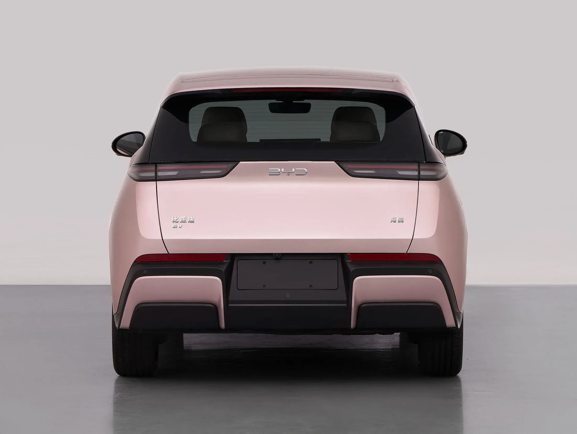 Byd Dolphin Mini Miit Traseira