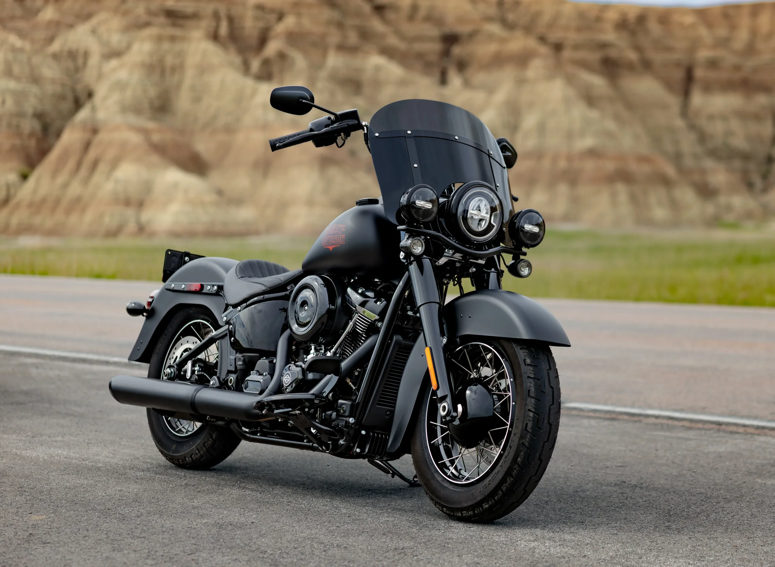 Harley Davidson Heritage Deadwood 2
