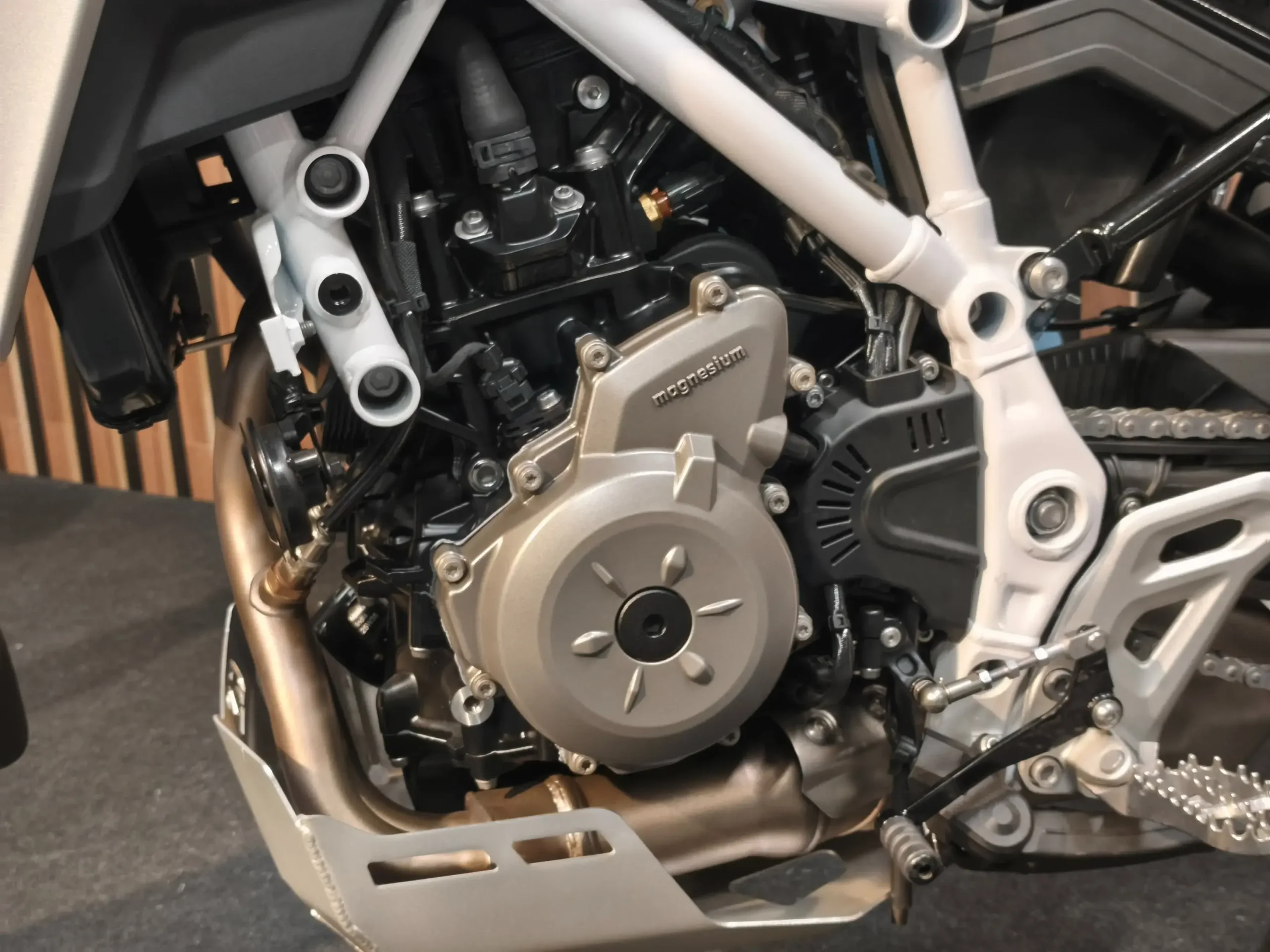 Bmw F 450 Gs (12)